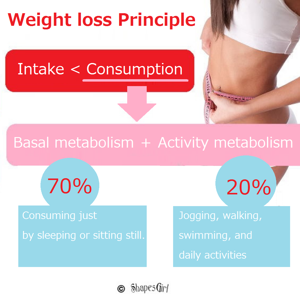 Principle of Dieting, Basal Metabolism