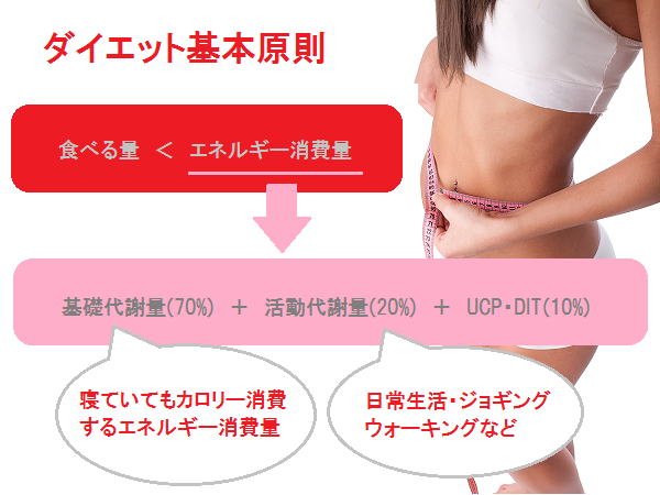 整体マッサージ/骨盤ダイエットで痩せない理由